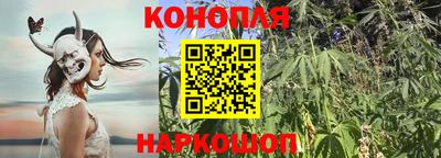 сатива Жуковский