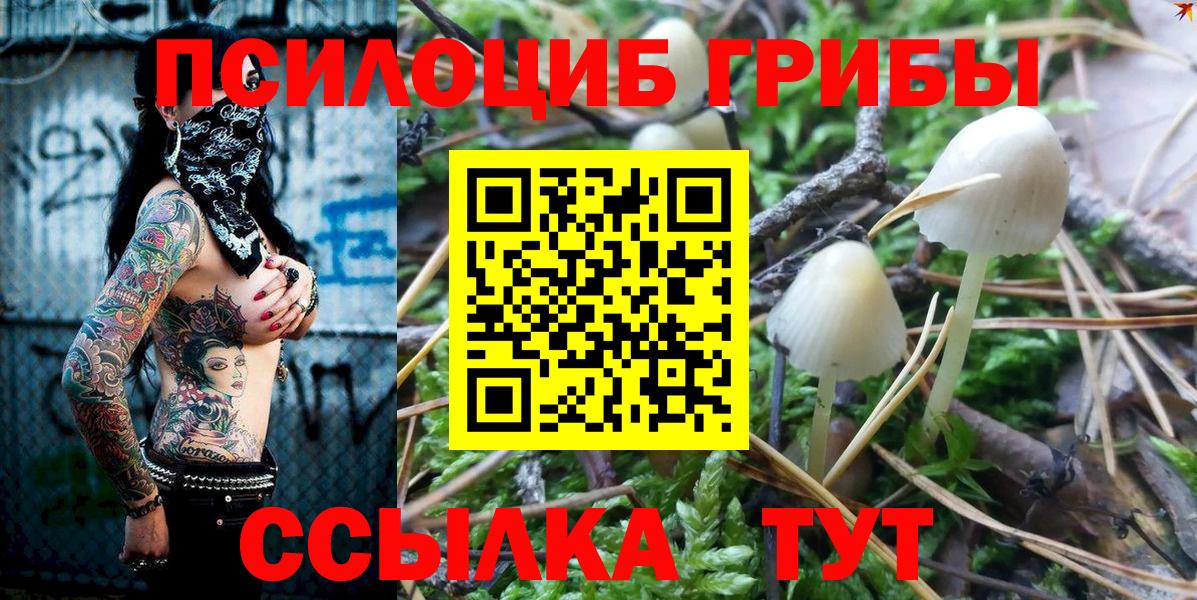 Галлюциногенные грибы Magic Shrooms Ливны