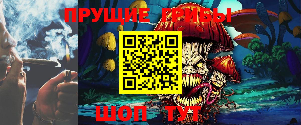 Ливны  Галлюциногенные грибы Psilocybine cubensis  Вход с VPN 